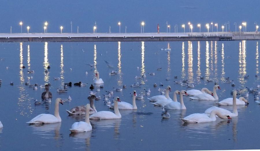 Sopot Apartament Kapitan J.Goyki Kültér fotó